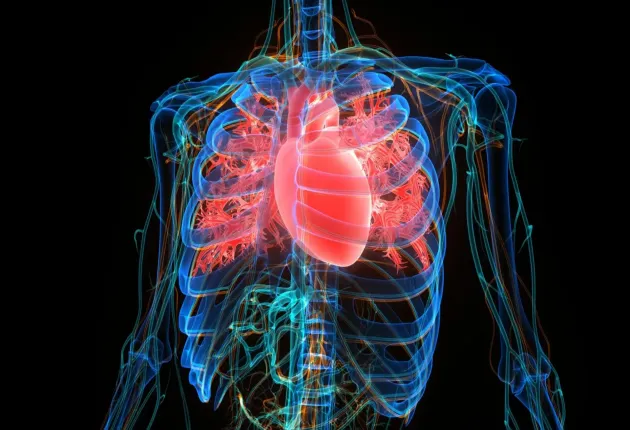 atrial_fibrillation.webp