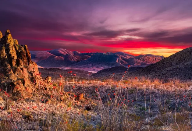 big_bend_national_park.webp