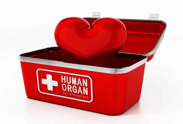 organ_transplantation.webp