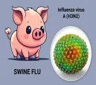 influenza.webp