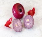 onion_benefits_for_diabetes.webp